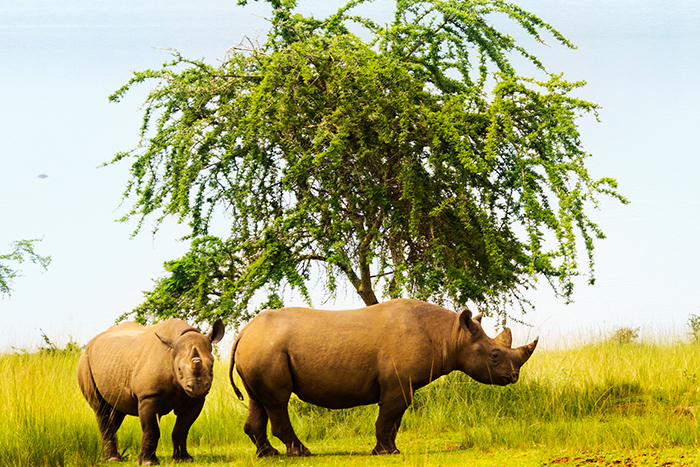 Two-day thrilling nature excursion