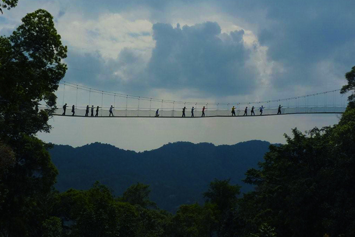 One-day safari adventure