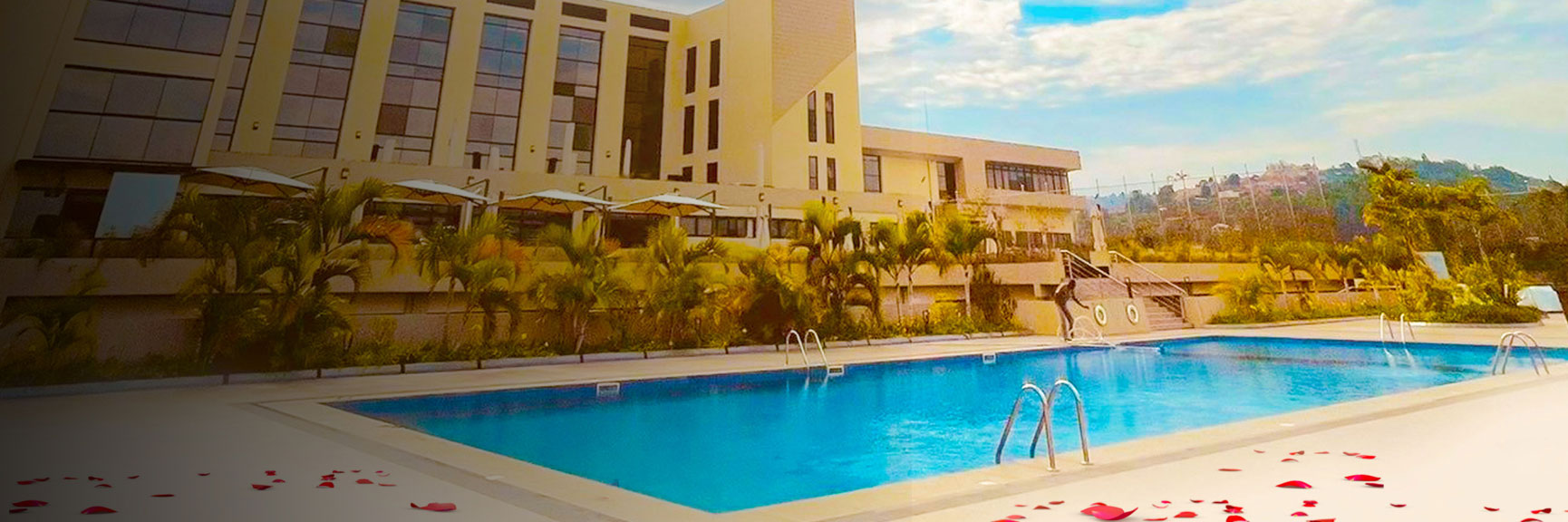 Catch Flights And Feelings